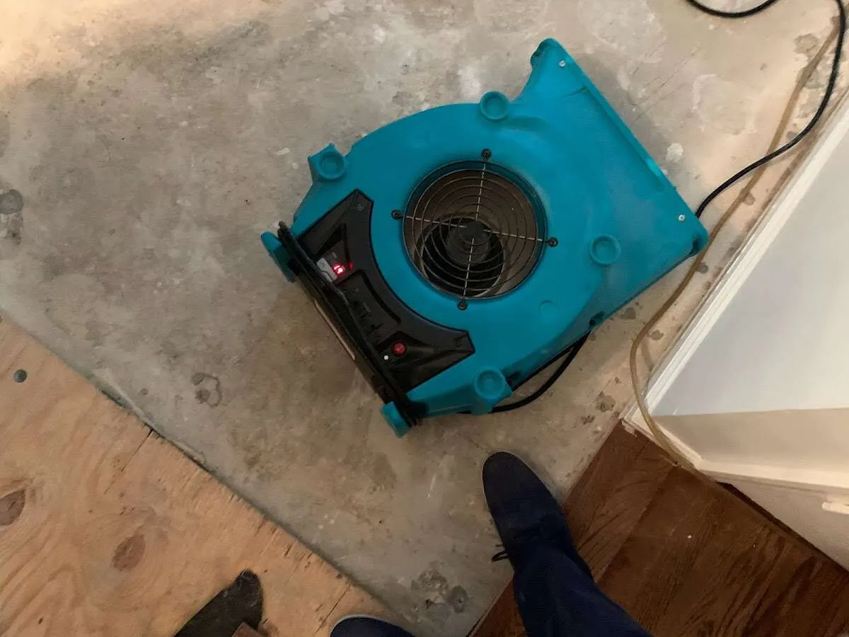Air mover drying subfloor during Commercial Water Damage Restoration in Edgartown